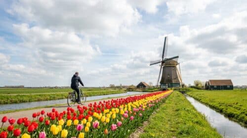 Tijdelijk energiehulpfonds: middeninkomens komen nu eveneens in aanmerking